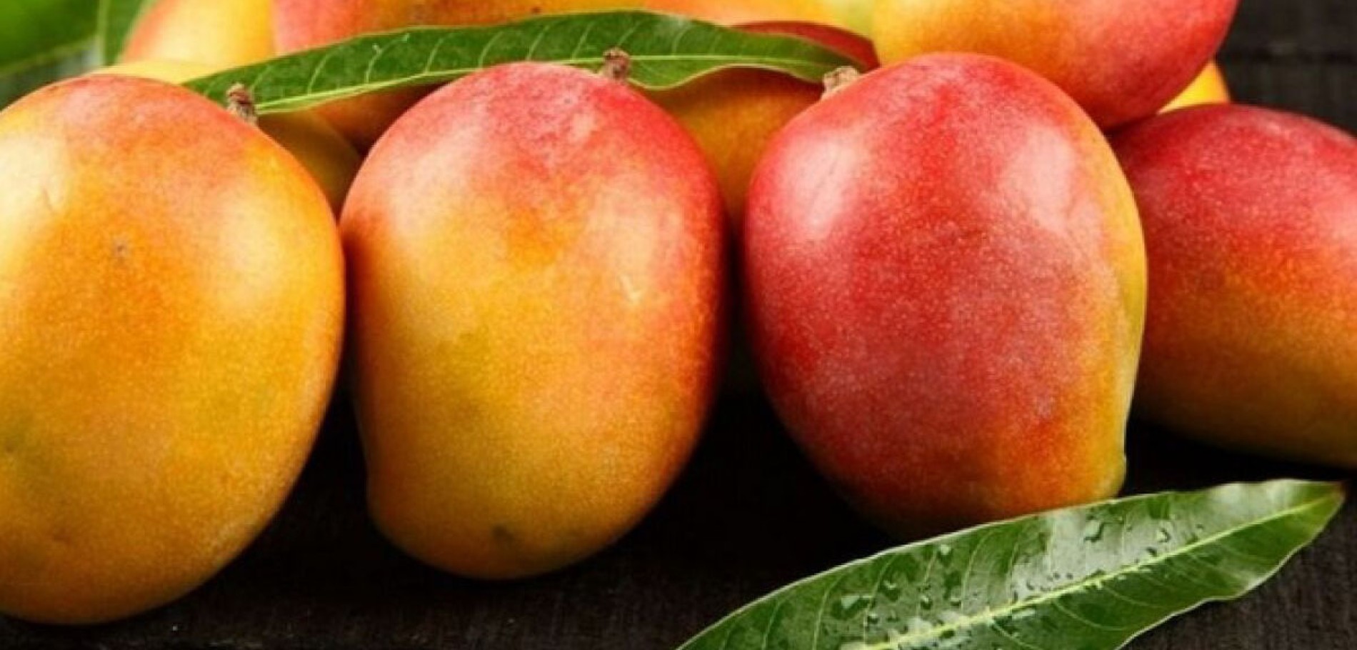 Destaque para datas sazonais ou campanhas especiais