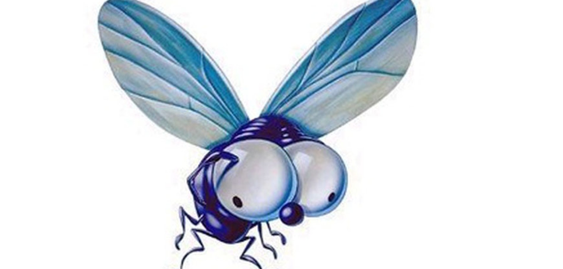 Produto personalizado ou edição limitada